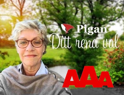 Pigan - Din underlättare i vardagen i Eskilstuna