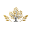 Clean Choice logotyp