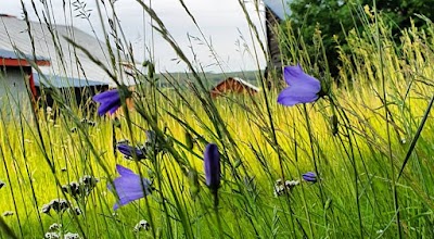 Städkompetens i Norrland AB i Umeå